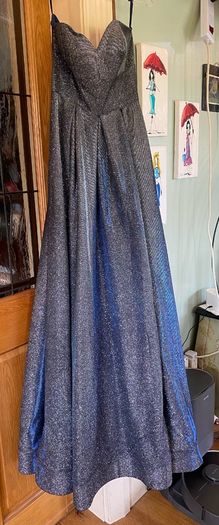 Debs/Evening Dress