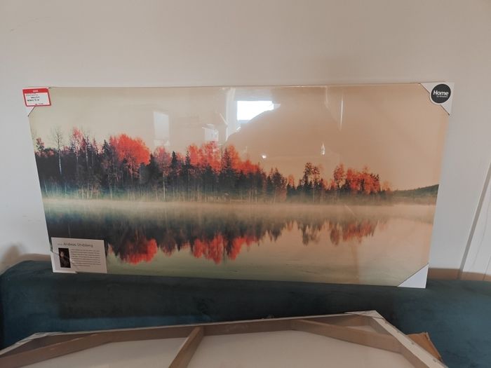 wall art  NEW