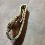 watch Image 4