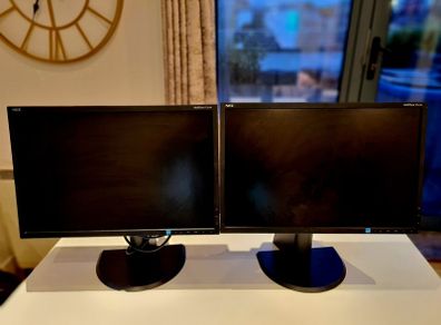 NEC Multisync E223W Monitor