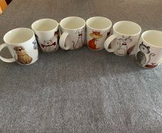 Cat and dog print bone china, set of 6 mugs