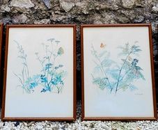 Vintage set of four botanical watercolour prints in oak frames