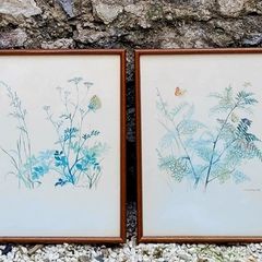 Vintage set of four botanical watercolour prints in oak frames