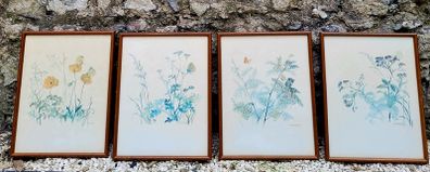 Vintage set of four botanical watercolour prints in oak frames