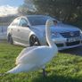 B6 Passat r line Image 4