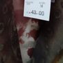 New Wallis blouse tag attached Image 5