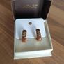 Ysl Earrings Image 4