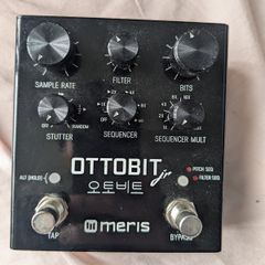 Meris Ottobit Jr