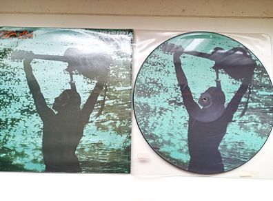 Skin  Look But Dont Touch 12,, Pic Disc