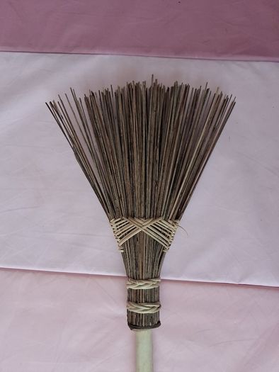 Witch's Broom