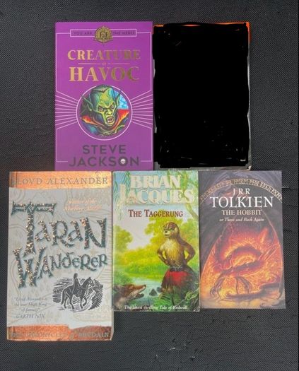 Fantasy books (bundle of 4)