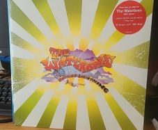 THE WATERBOYS book of lightning yellow vinyl