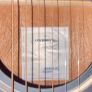 Tanglewood Acoustic Guitar Image 2