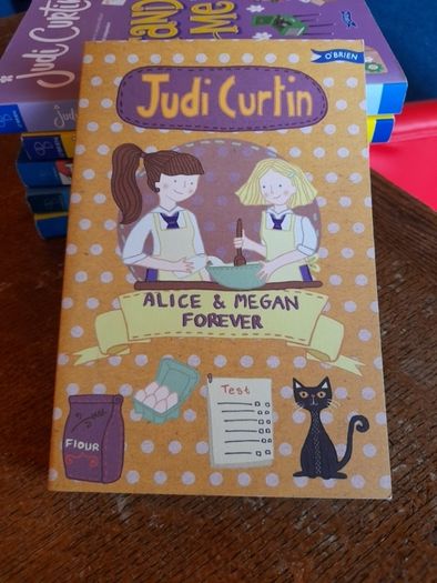 Judi Curtin Books // E1.50 each E6 bundle
