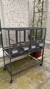 bird cage