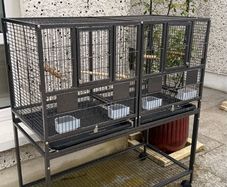 bird cage