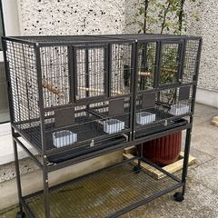 bird cage