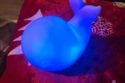 whale night light