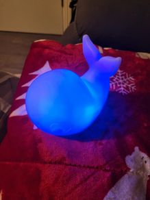 whale night light