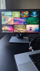 monitor