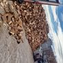 Firewood Image 5