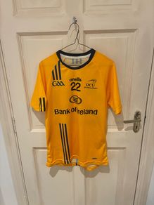 DCU Gaa jersey
