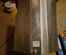 Omega Lighting Euro Reflector 250 watt sodium bulb