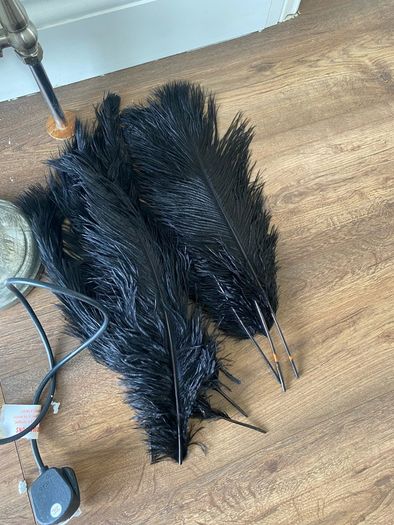 Black ostrich feather floor lamp