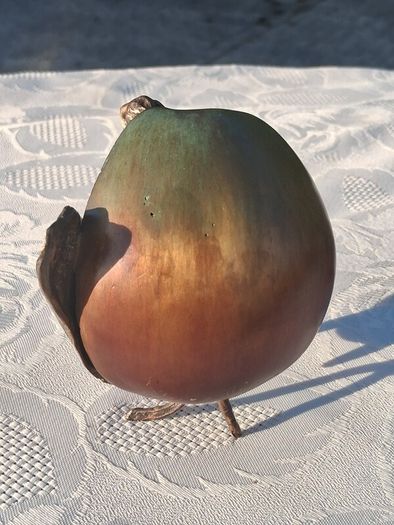 Eve And The Apple Signed Bronze