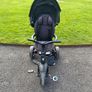 Q play 6 in 1 trike Image 3