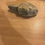 Rock shaped like a middle finger Image 8