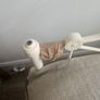 small double bed frame Image 5