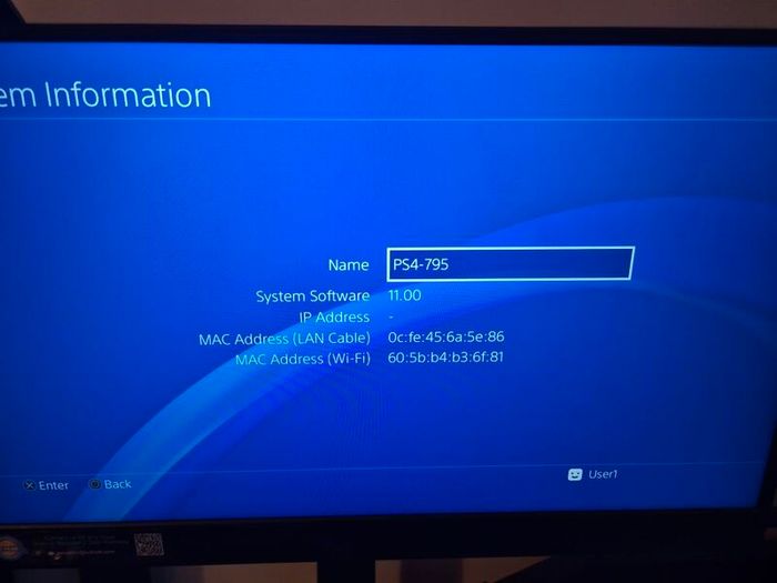 PS4 Call Of Duty Limited Edition 1TB Low Firmware 11.00 Great Condition