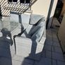 Garden furniture Image 3