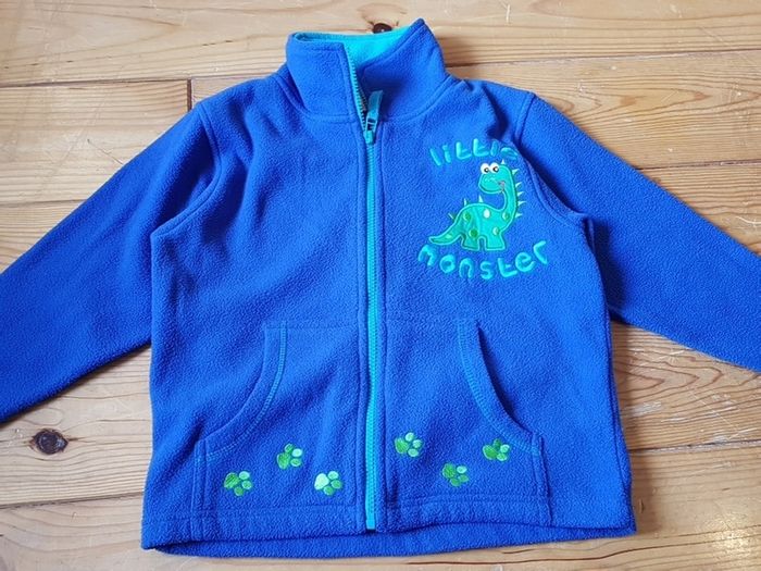 Age 5-6 Dinosaur Fleece Hoodie