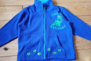 Age 5-6 Dinosaur Fleece Hoodie