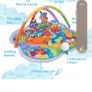play Gro baby gym Image 2