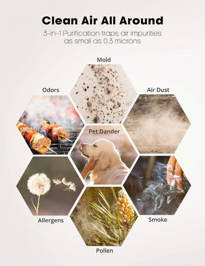 Air Purifier for Home, Quiet Air Cleaner with True HEPA Filter with 4 Speeds and Sleep Mode, Night Light, Odors Dust Mold for Allergens Smokers Pollen Pet Hair