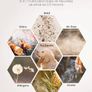 Air Purifier for Home, Quiet Air Cleaner with True HEPA Filter with 4 Speeds and Sleep Mode, Night Light, Odors Dust Mold for Allergens Smokers Pollen Pet Hair Image 7