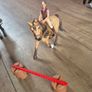 Schleich horses, stables and accessories Image 7