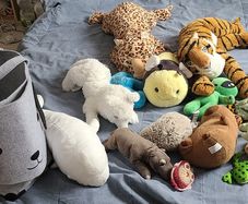soft toys and bag