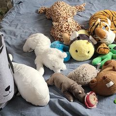 soft toys and bag