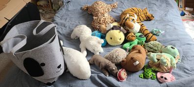 soft toys and bag