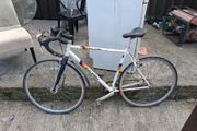 Raleigh Flyer