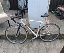 Raleigh Flyer