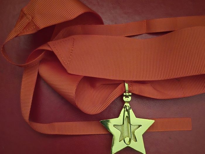 Russian  , ussr , red army, The Marshal's Star.