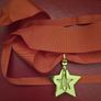 Russian  , ussr , red army, The Marshal's Star. Image 3