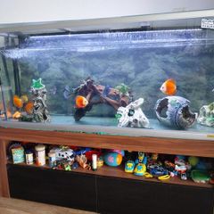 fish tank