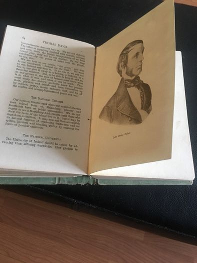 Thomas Davis - The Thinker and Teacher His writings in prose and Poetry.  Selected, arranged and edited by Arthur Griffith
