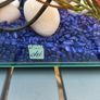 fish tank Image 4